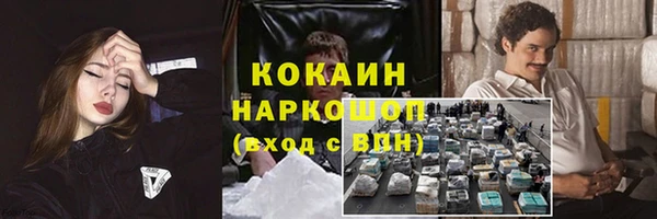 дживик Аркадак