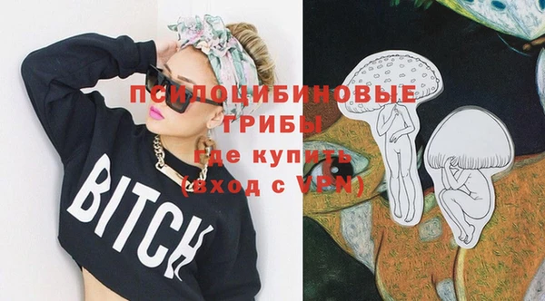 дживик Аркадак