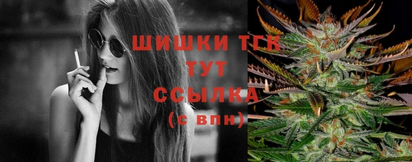 дживик Аркадак