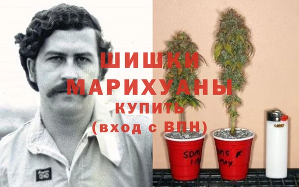 дживик Аркадак