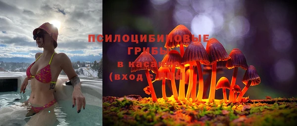 дживик Аркадак