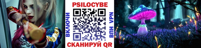 что такое   Армянск  МЕГА онион  Псилоцибиновые грибы Psilocybe 
